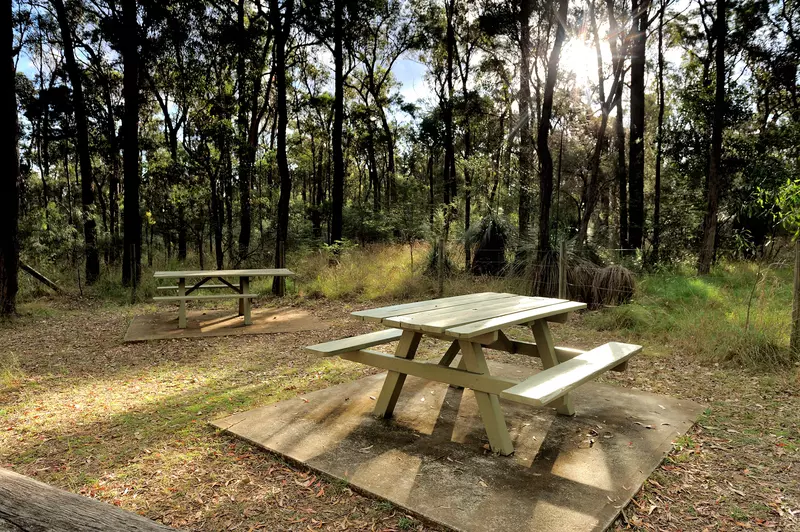 shutterstock_1565603077