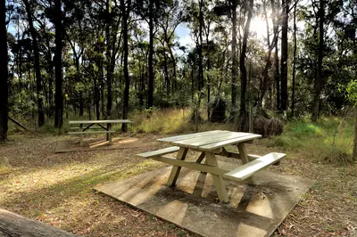 shutterstock_1565603077