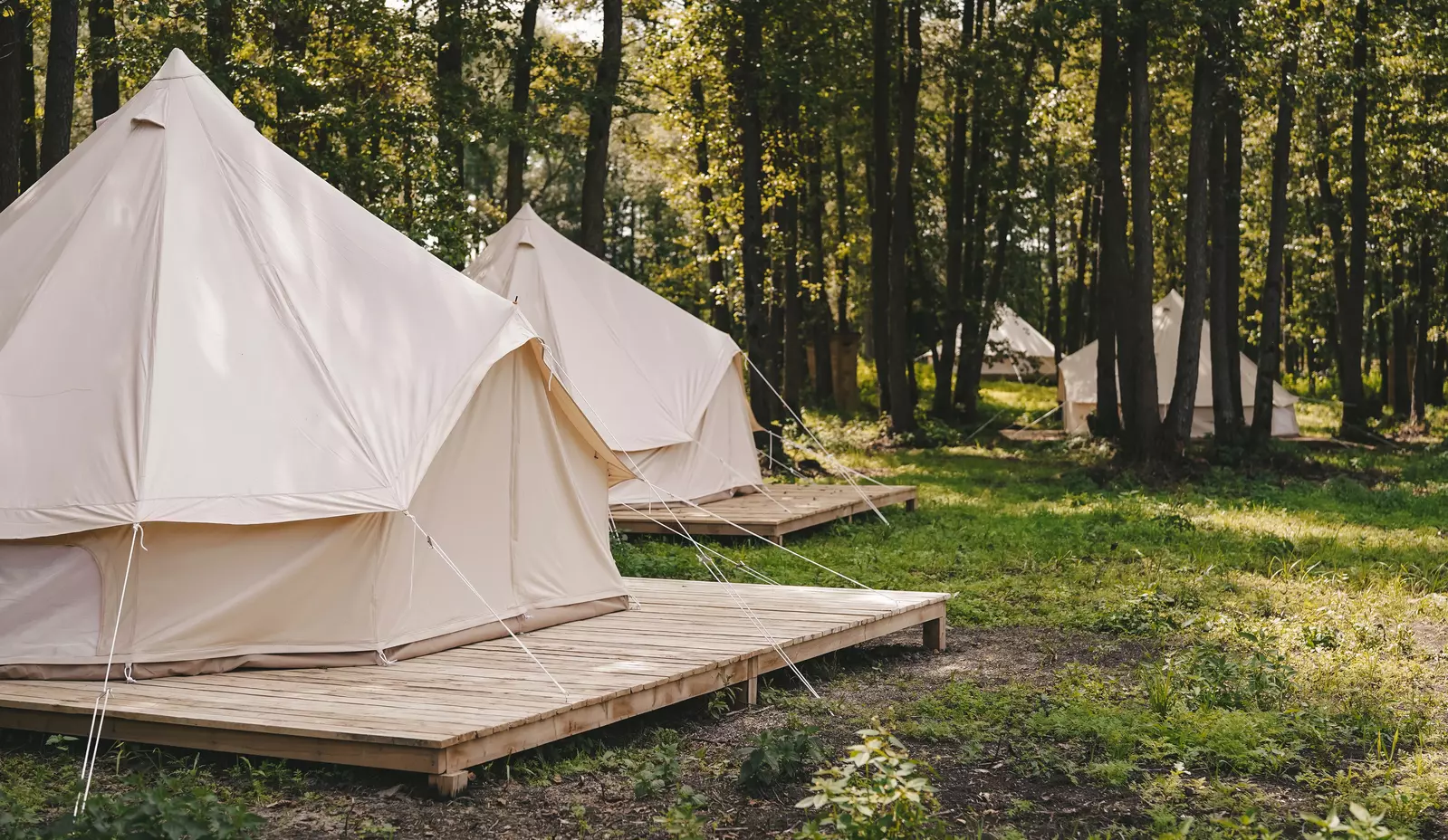 shutterstock_1225486873