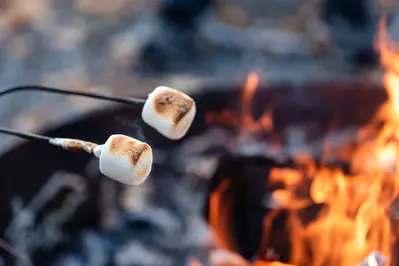 shutterstock_2330760811