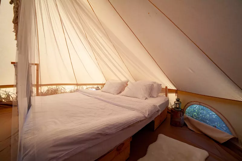 shutterstock_1187453239