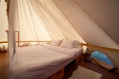 shutterstock_1187453239