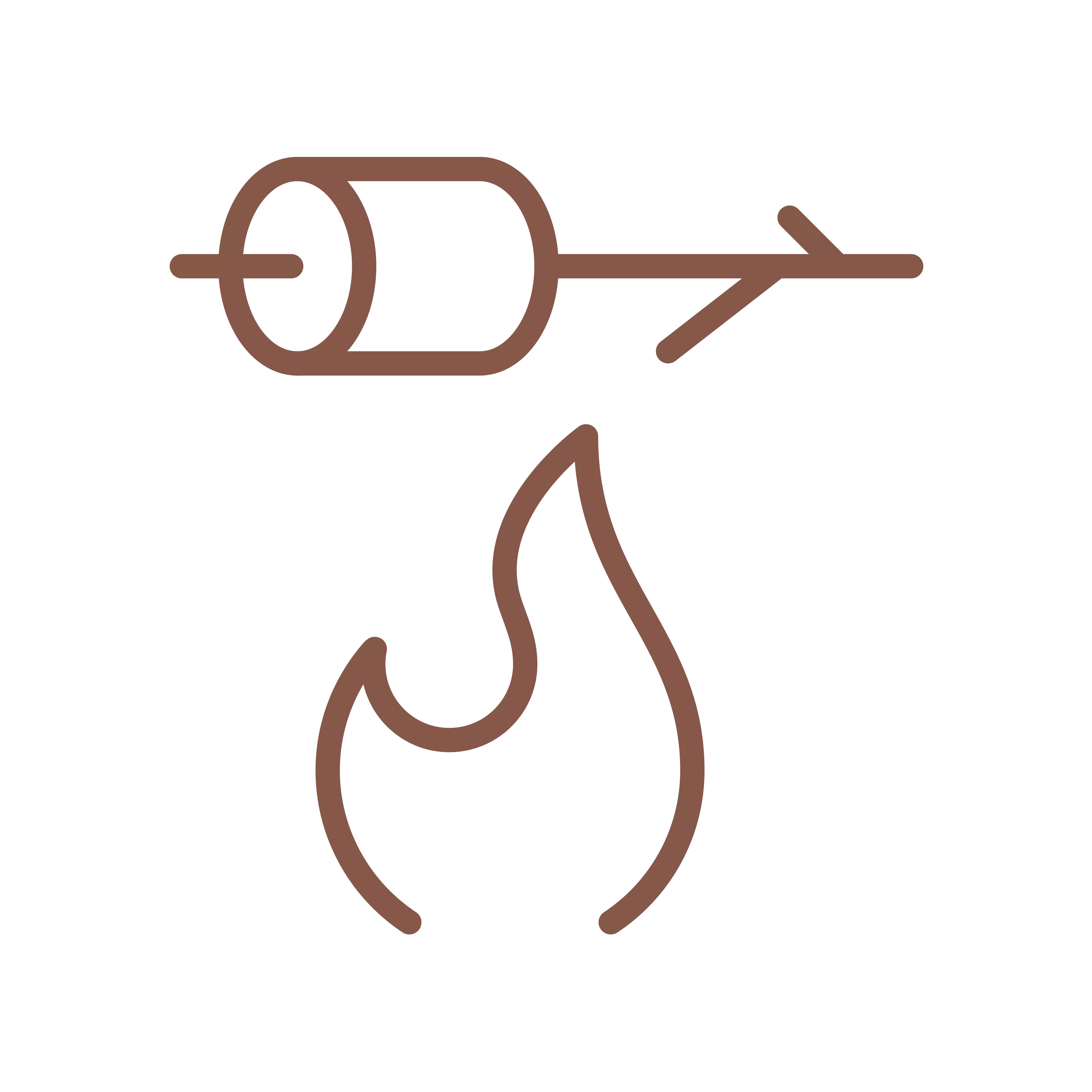 fire-and-smores-icon